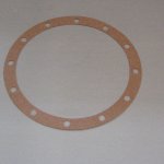 (image for) Armstrong Pump Casing Gasket 406604-000