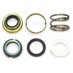 (image for) Bell & Gossett Mechanical Seal Kit 118681LF