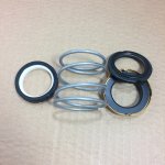 (image for) Bell & Gossett Mechanical Seal Kit 186862LF