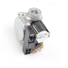 (image for) Carrier Gas Valve EF33CW201