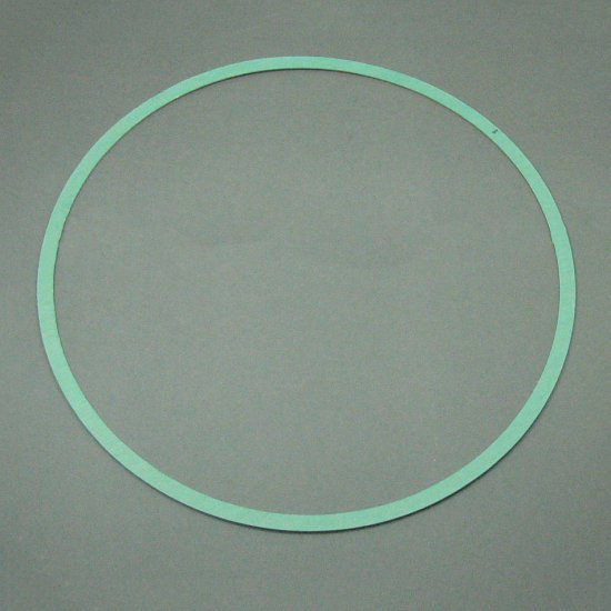 (image for) Armstrong Pump Casing Gasket 426401-006