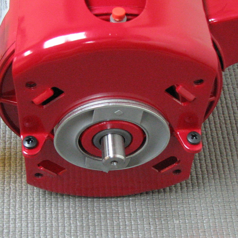 Bell & Gossett Pump Motor 111061